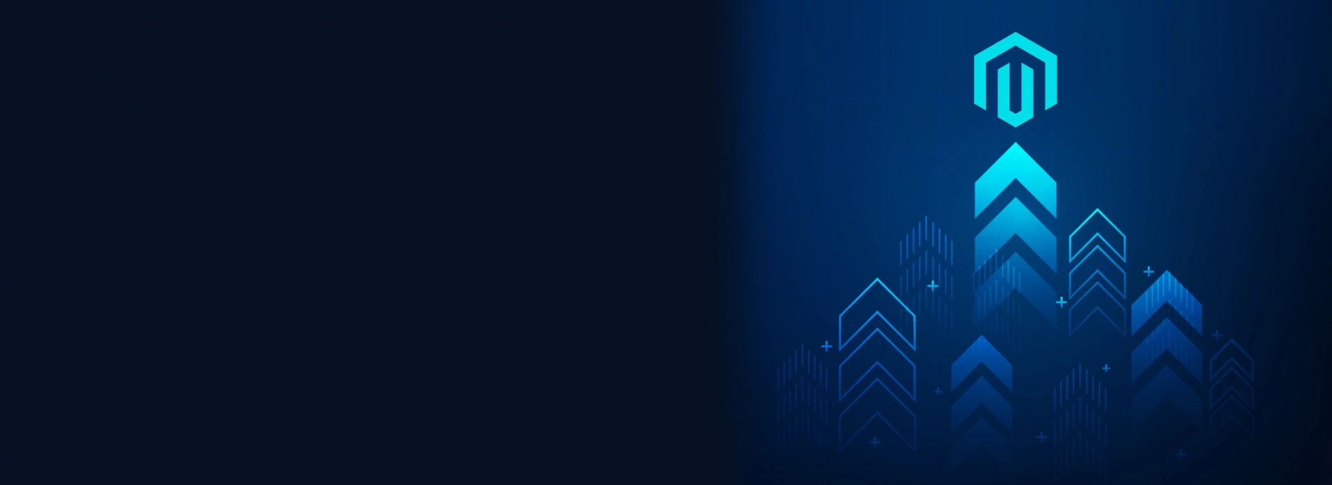 Hire Dedicated Magento Developers | IT IDOL Technologies