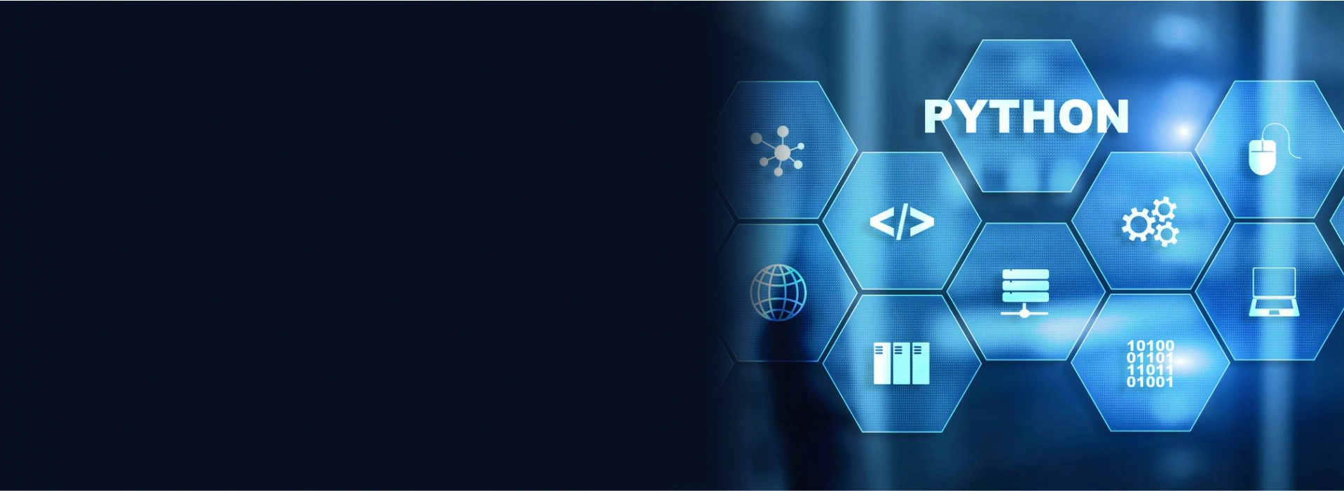 hire dedicated python developers | Python Development Company | IT IDOL Technologies