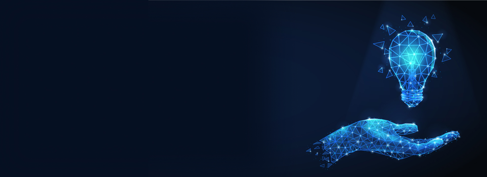 Softwar Development Success Stories | IT IDOL Technologies